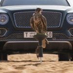 Bentley Bentagya Falconary