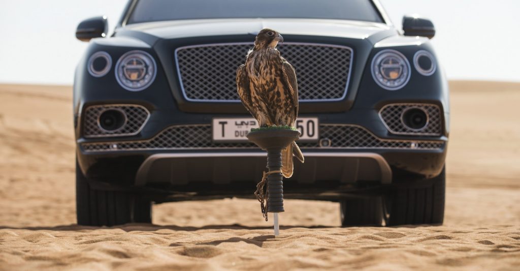 Bentley Bentagya Falconary