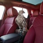 Bentley Bentagya Falconary