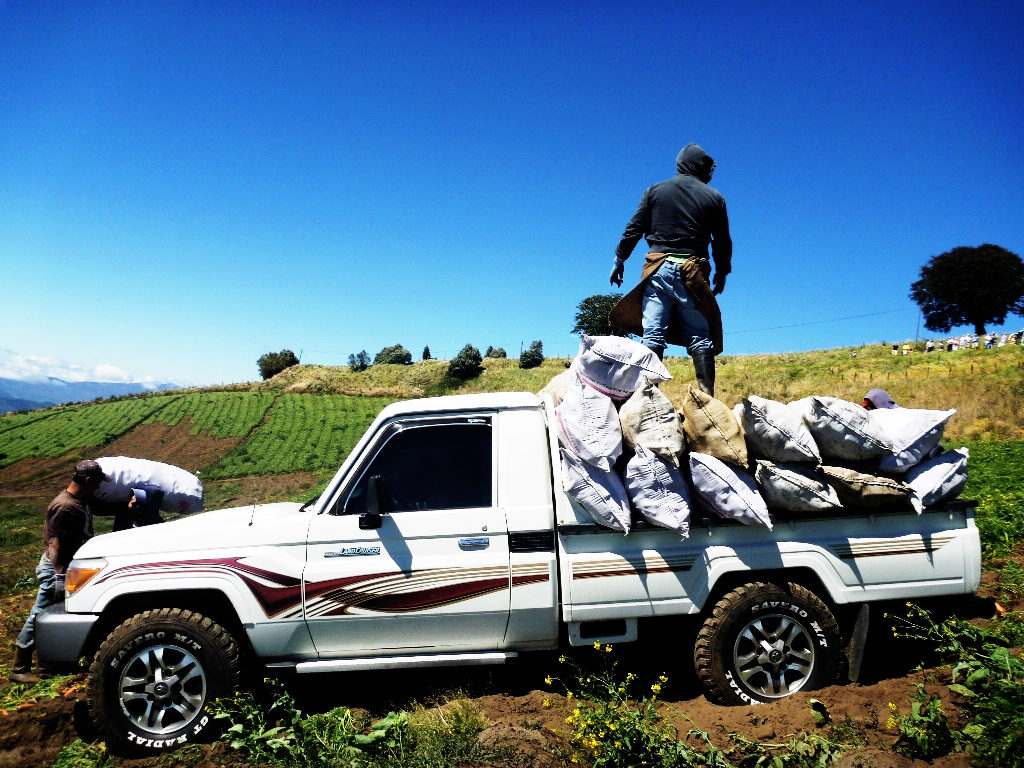 Land Cruiser Costa Rica