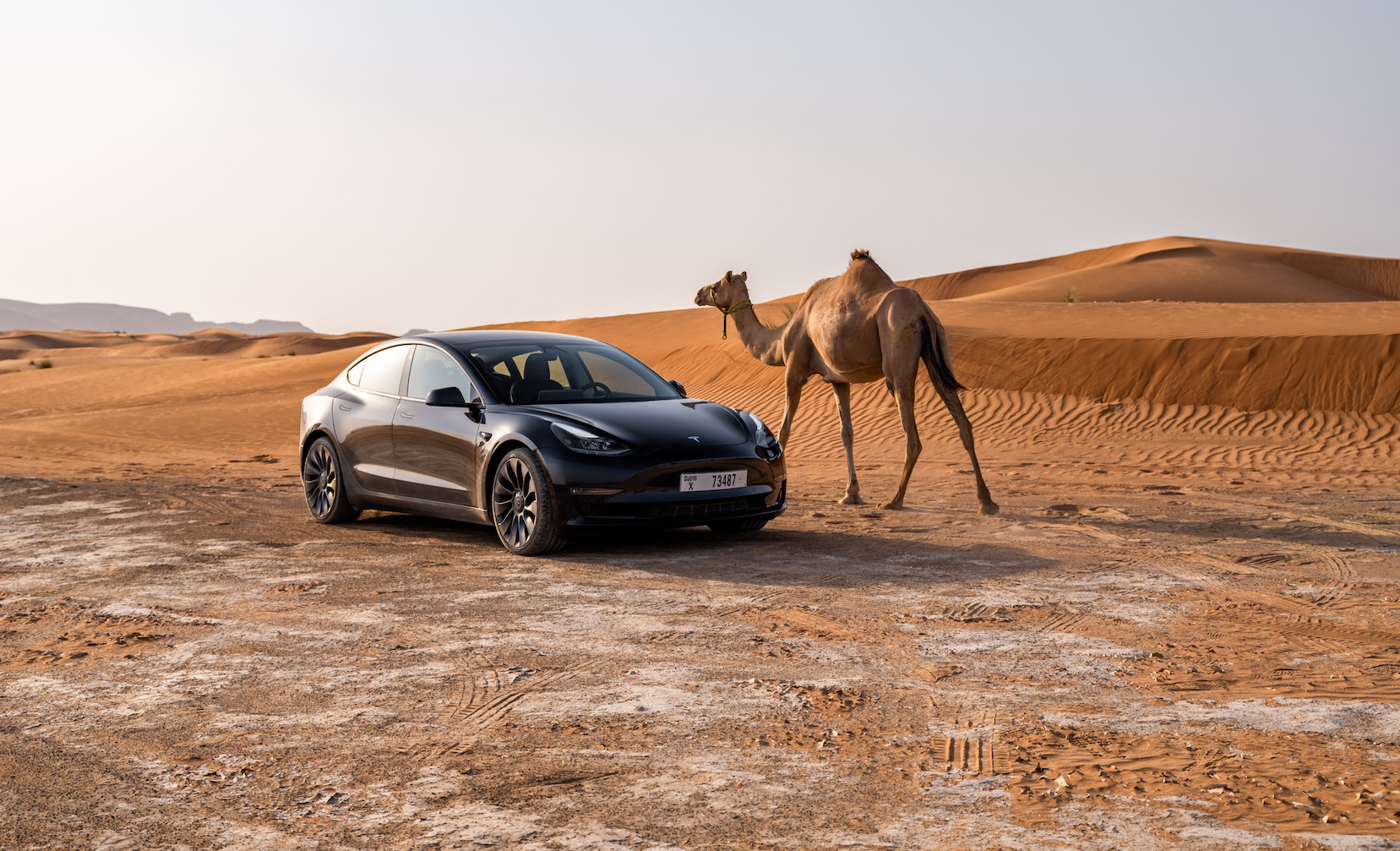 DubiCars Car Spotlight — Tesla Model 3: All You Need To Know About The Best-Selling EV