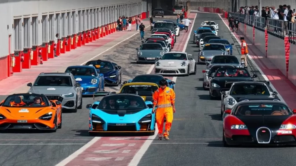 Socialize & Drive 2025