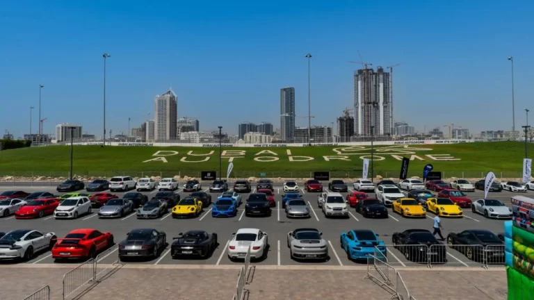 Socialize & Drive 2025