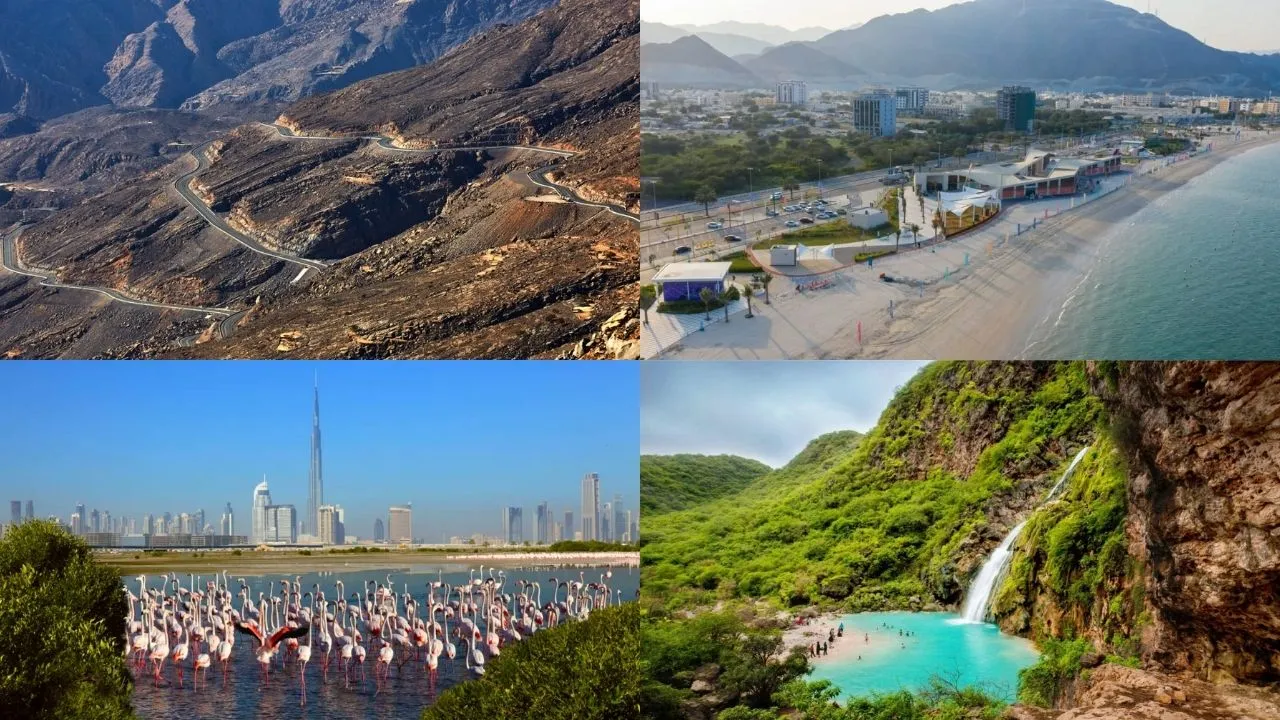 Best UAE Drives This Summer: Scenic Road Trips To Explore