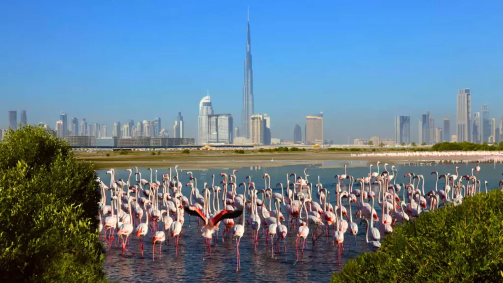 best summer road trips drives uae